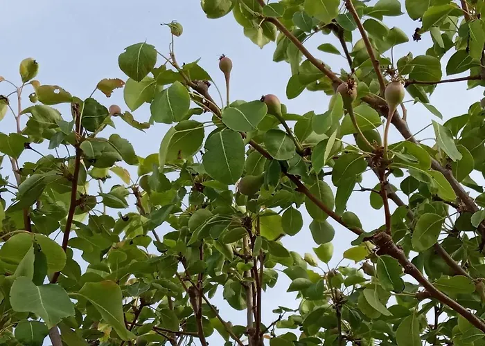 - Family Comfort With Large Garden, Jacuzzi וילה *