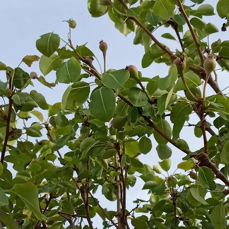 - Family Comfort With Large Garden, Jacuzzi Villa *